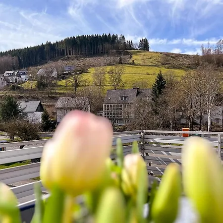 Vakantiehuis Bergfreiheit *